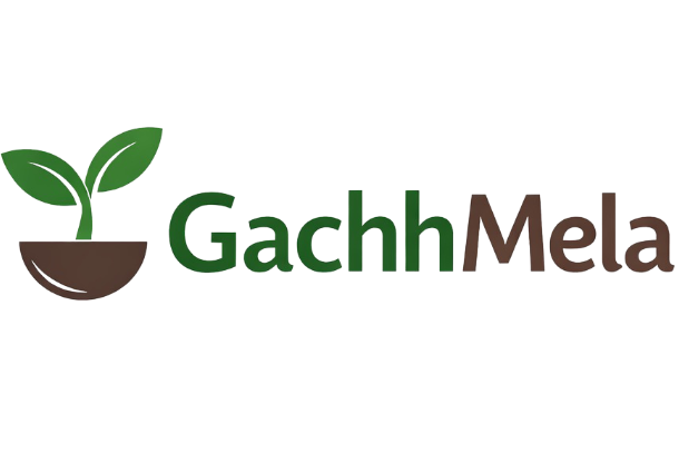 GachhMela