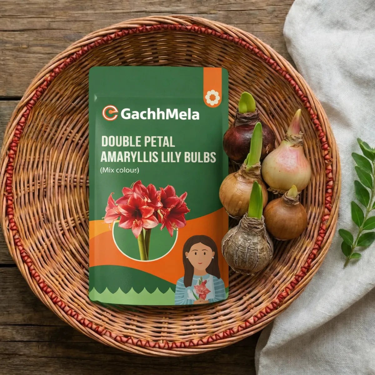 Amaryllis Lily Bulbs Pack of 5 | Mixed Color Flower Bulbs | Live Plant