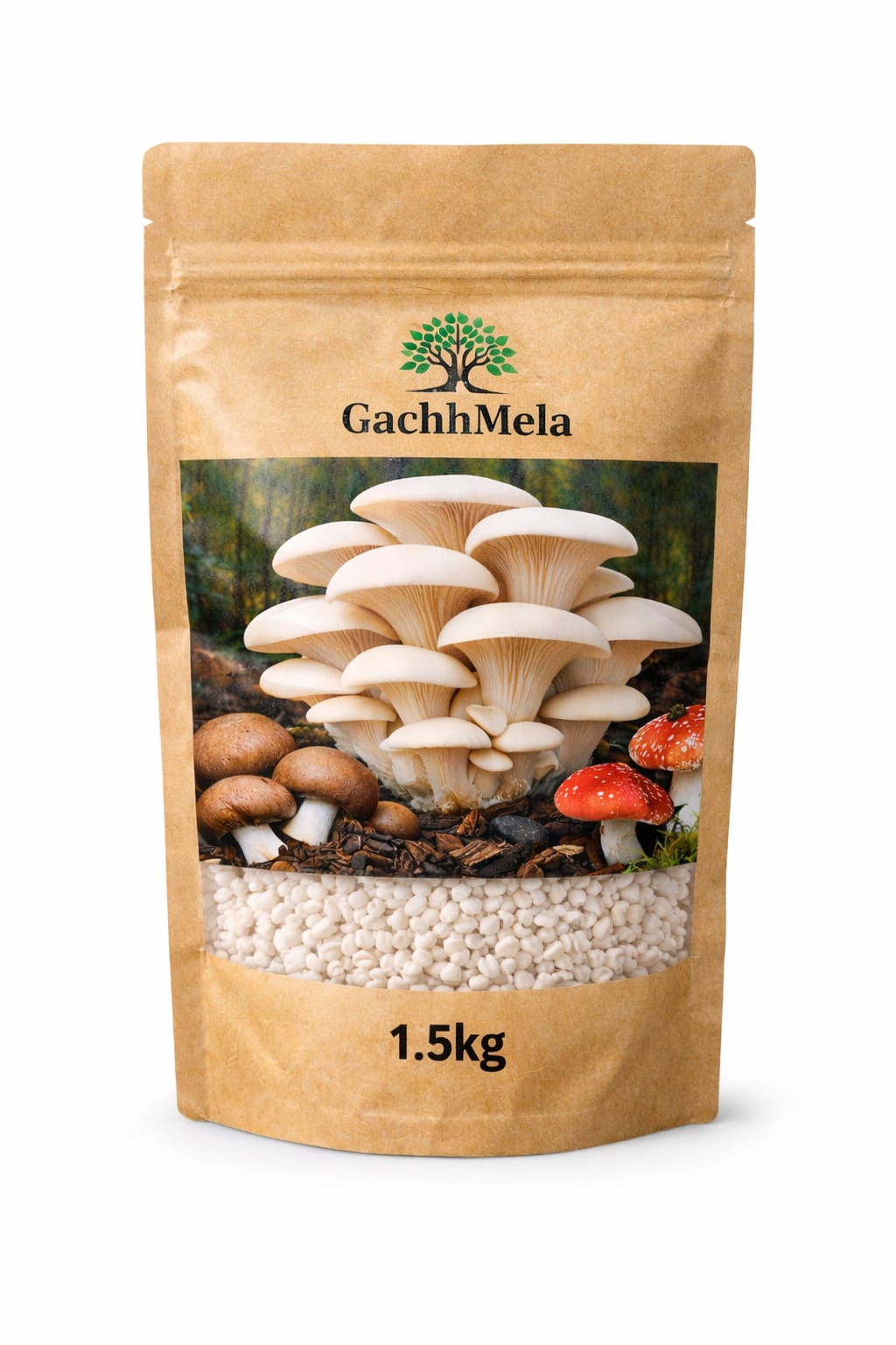 Premium Oyster Mushroom Seeds (Spawn) – Fresh & High Yield | GachhMela