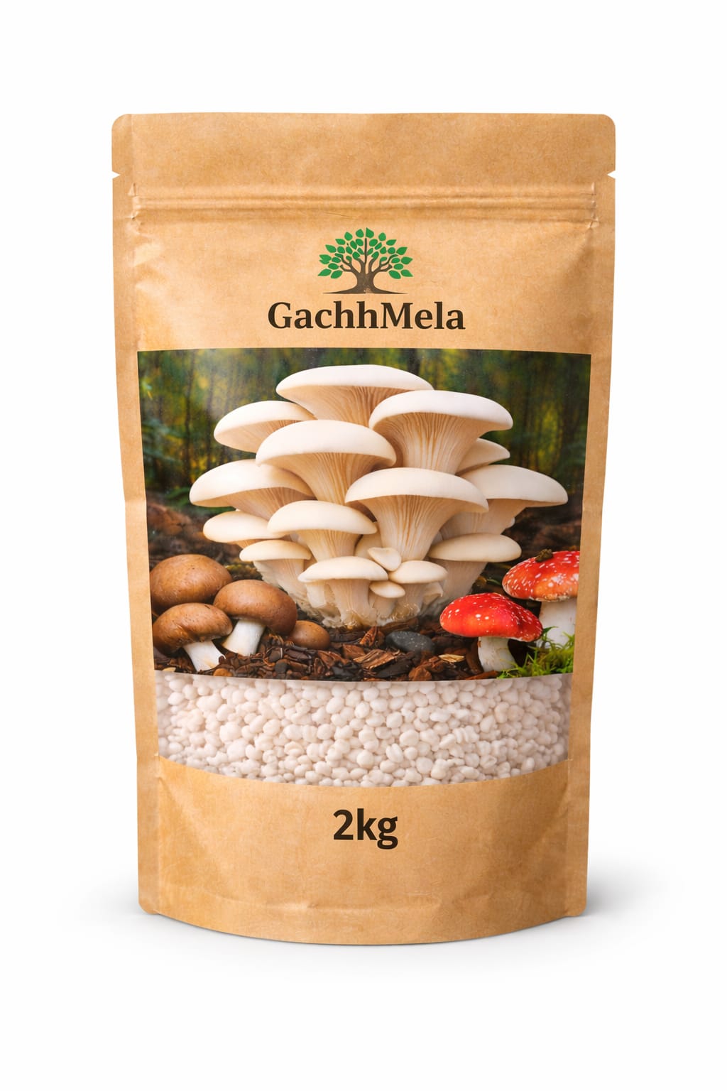 Premium Oyster Mushroom Seeds (Spawn) – Fresh & High Yield | GachhMela