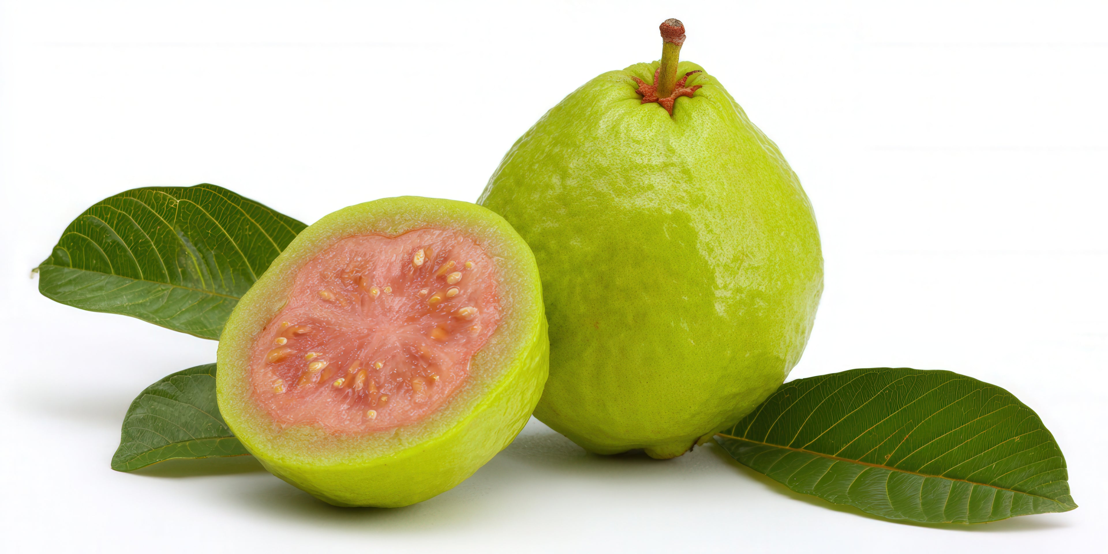 Live Hybrid Guava Fruit Plant (Pink Guava) – Healthy Nursery Grown Peyara/Amrood Plant